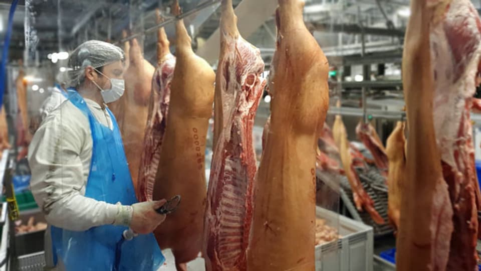 Mitarbeiter im Zerlegebetrieb des Fleischverarbeitungsunternehmens Tönnies.