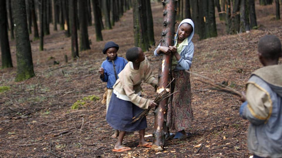 Kinder suchen in Kenia Brennholz.
