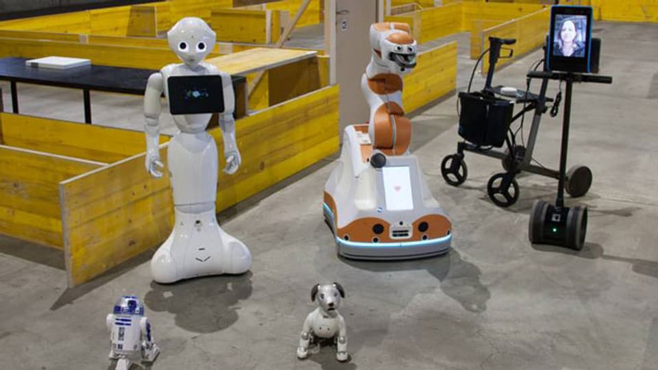 Roboter, welche den Betagten mehr Autonomie bringen können.