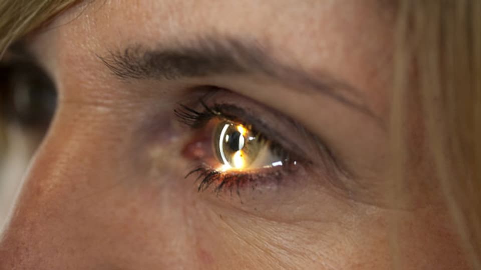 Die menschliche Netzhaut, die uns das Sehen ermöglicht, besteht aus Millionen von Zellen.