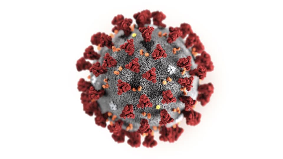 Illustration des Coronavirus.