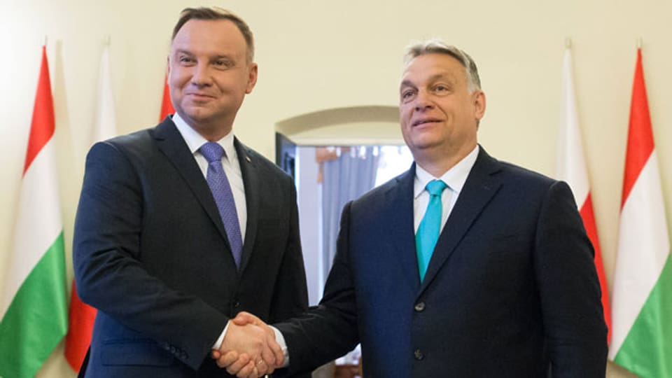 olen und Ungarn: Geringe Freude über Machtwechsel in den USA