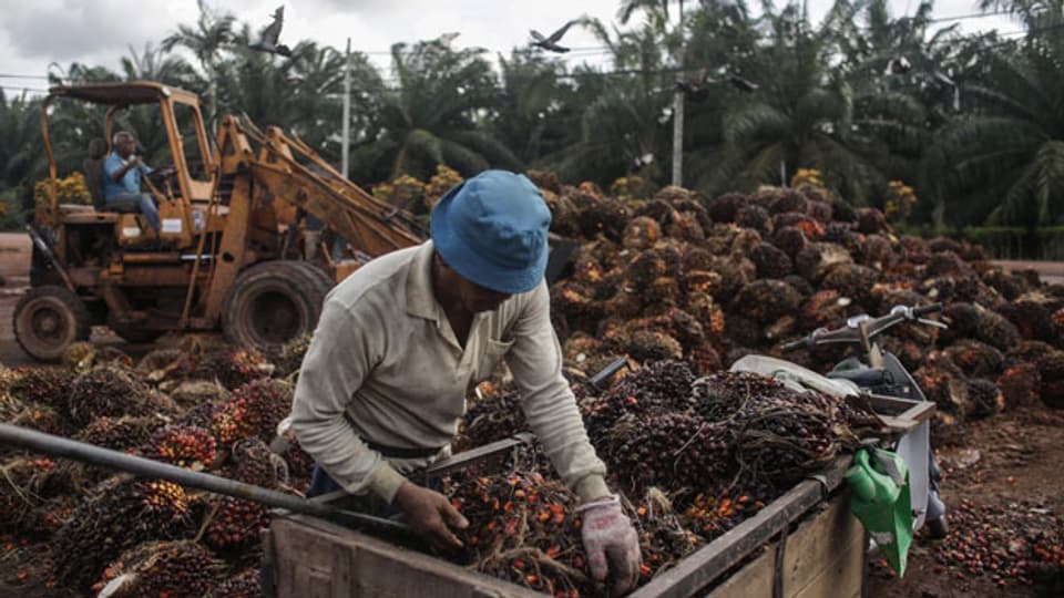 Freihandel mit Indonesien: Abstimmung mit Signalwirkung?