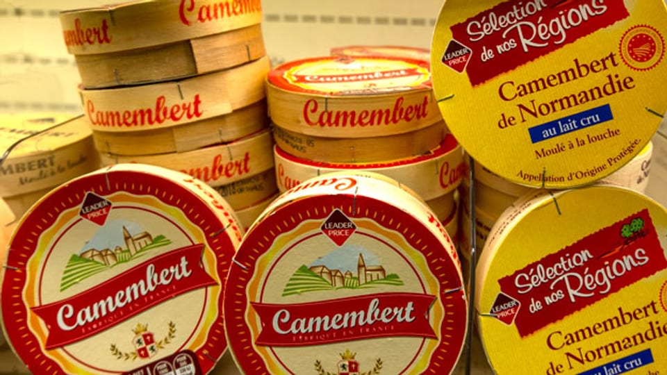 Verschiedene Sorten des Camembert-Käse.