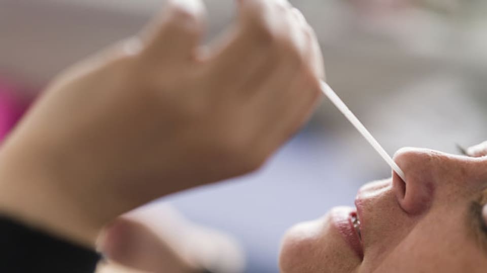 Eine Frau macht einen Coronavirus Antigen-Selbsttest mit Nasenabstrich bei sich zu Hause.