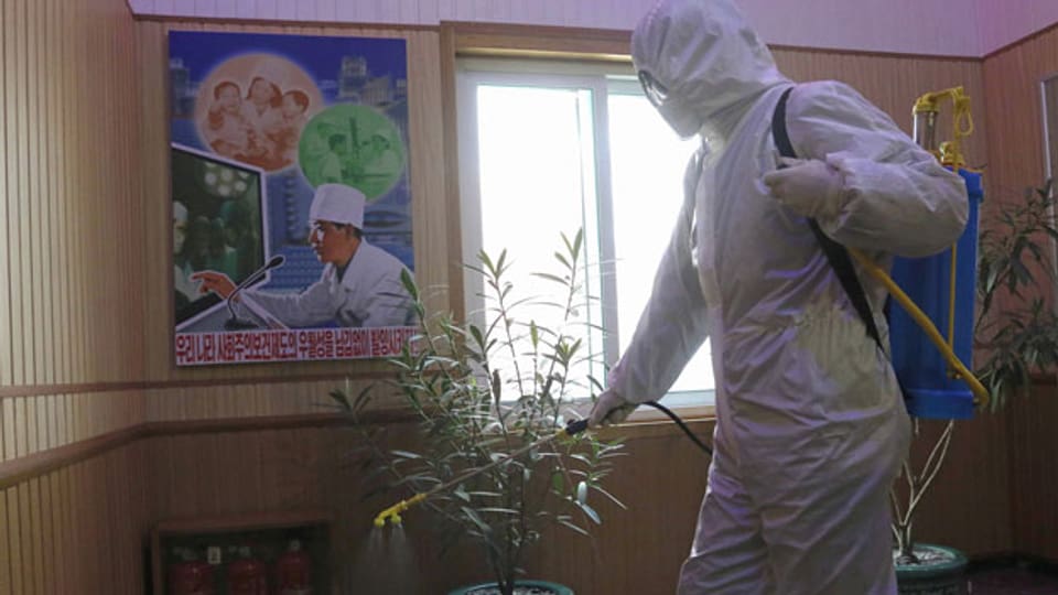 Ein Beamter des Hygiene- und Anti-Epidemie-Zentrums im Bezirk Phyongchon desinfiziert den Korridor eines Gebäudes in Pjöngjang, Nordkorea.