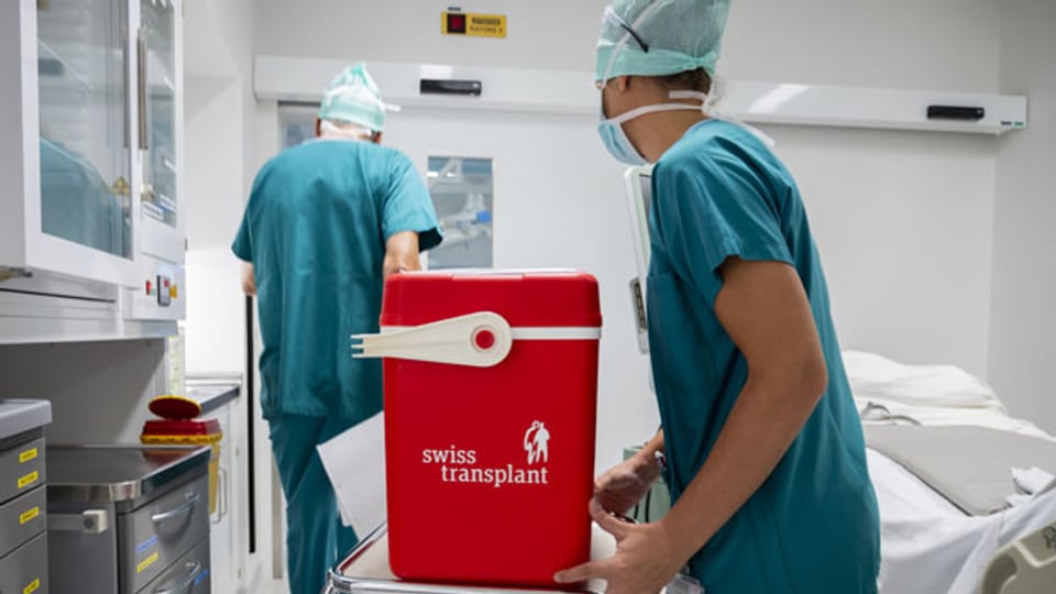 Eine Niere in einer Kühlbox für eine Organtransplantation in einem Operationssaal des Universitätsspitals Waadt, CHUV, in Lausanne.