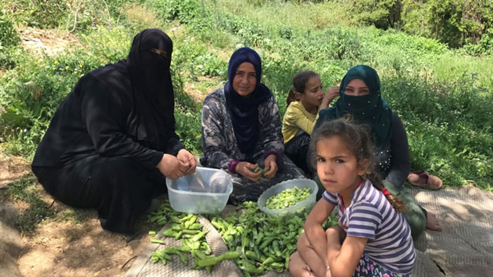 Syrische Flüchtlingsfrauen in Libanon.