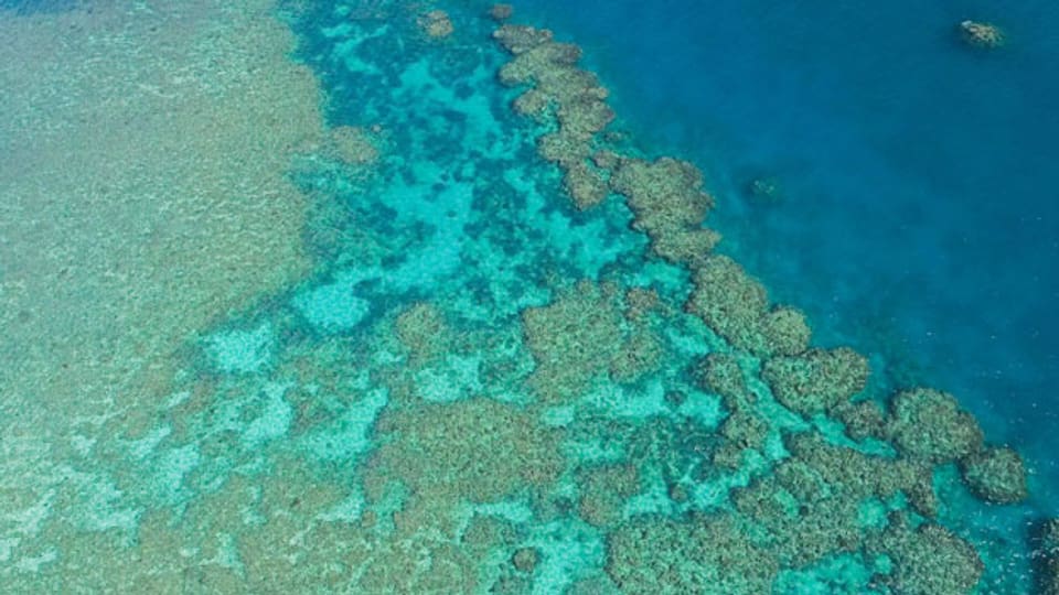 Blick auf einen Teil des Great Barrier Reefs.