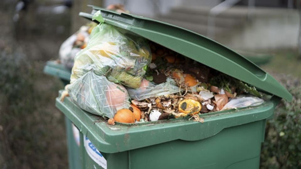 Als grosses Problem gilt die Verschwendung von Lebensmitteln. Ein voller Kompostcontainer voll mit Bioabfall.