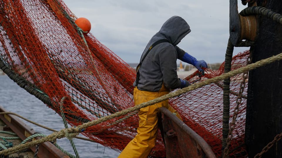 Fischerei-Subventionen fördern die Überfischung.