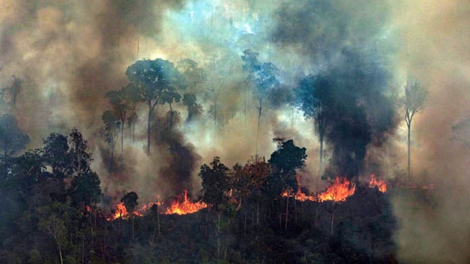 Feuer im Amazonaswald in Novo Progresso im Bundesstaat Para, Brasilien.