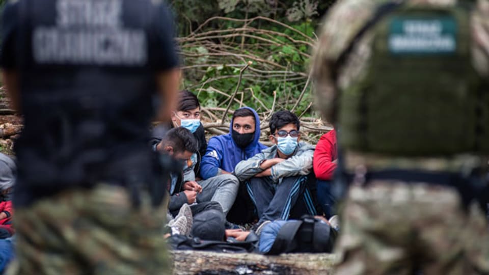 Bei der Grenze zwischen Polen und Belarus sitzen afghanische Flüchtlinge fest.
