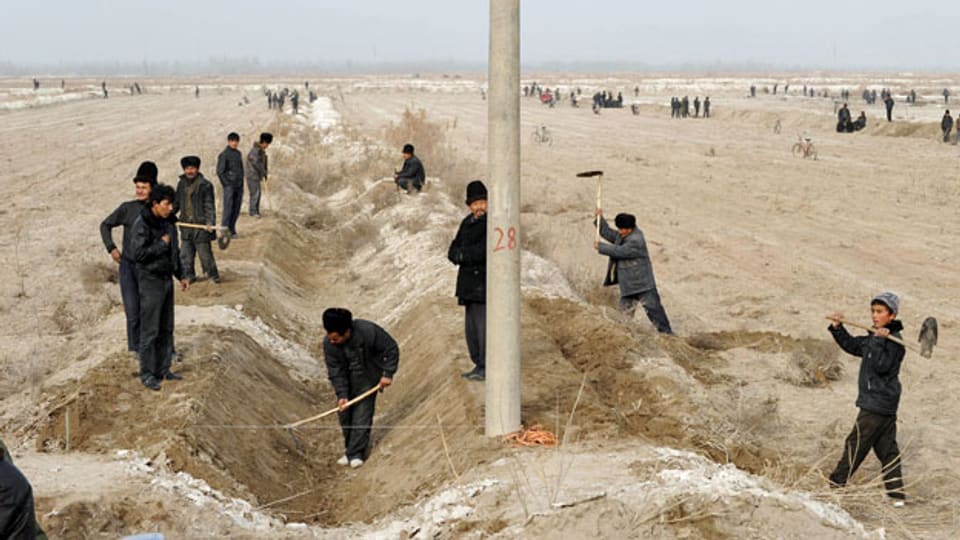 Uiguren auf einer Baumwollplantage in der autonomen Provinz Xinjiang.