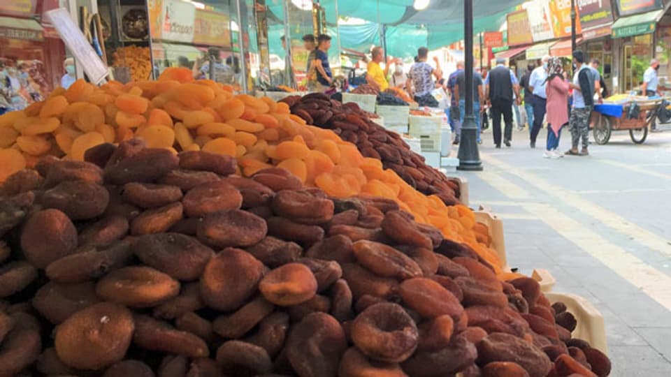 Zwei Drittel der getrockneten Aprikosen im internationalen Handel kommen aus der anatolischen Hochebene um die Stadt Malatya.