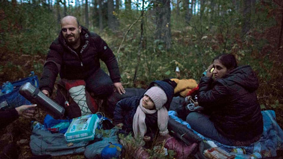 Flüchtlingsgruppe nach dem Überqueren der polnisch-belarussischen Grenze.