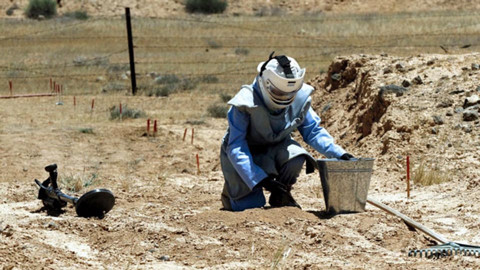 Gefährliche Suche nach Landminen in Jordanien.
