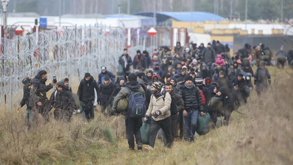 Migranten entlang der belarussisch-polnischen Grenze in der Nähe von Grodno, Belarus, am 12. November 2021.