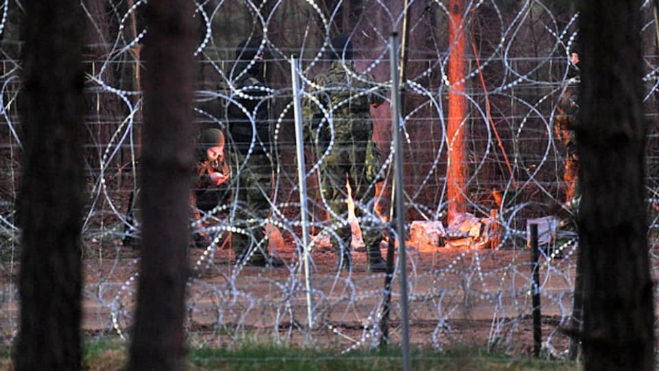 Stacheldraht in der Nähe eines Migrantenlagers an der weissrussisch-polnischen Grenze in der Region Grodno, Weißrussland.