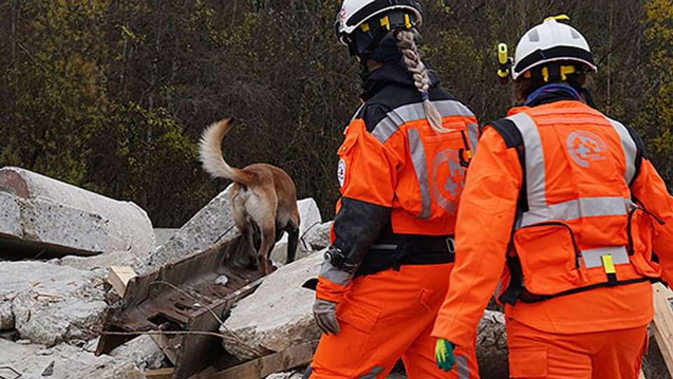 Hundeführerinnen der Schweizerischen Rettungskette und ihr Hund suchen nach einem Verschütteten.