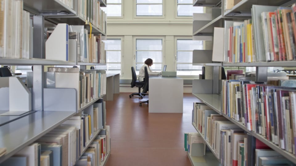 Vertieftes Studium in einer Bibliothek: Solide Forschung überprüft die Quellen.