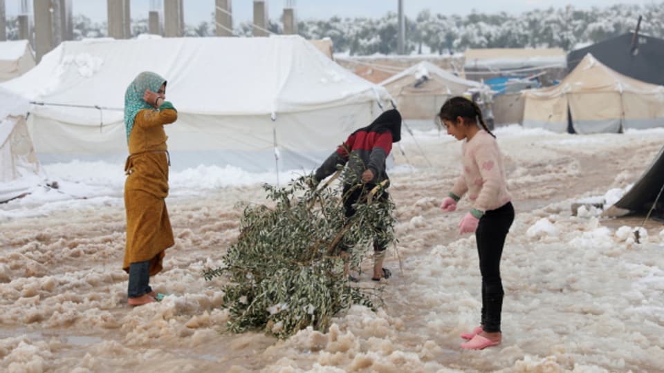 In einem Flüchtlingslager in Nordsyrien sammeln Kinder Zweige als Brennholz.