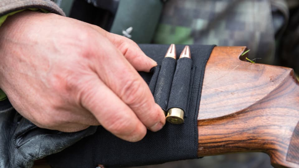 Bleifreie Munition wird in immer mehr Kantonen Vorschrift.