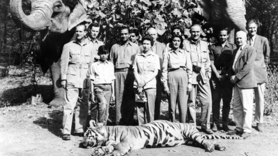 Königin Elizabeth II. (Mitte links) und ihr Gemahl Prinz Philip (ganz links) nehmen im Rahmen ihres Besuch in Indien 1961 an einer Grosswildjagd teil. Dabei erlegt Prinz Philip im Dschungel von Rajasthan einen Tiger.