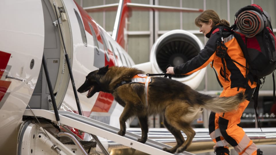 Der Verein Redog hilft mit Suchhunden in der Türkei mit, Verschüttete zu finden.