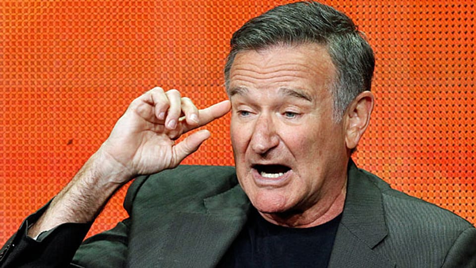 Robin Williams auf einem Bild vom Juli 2013.