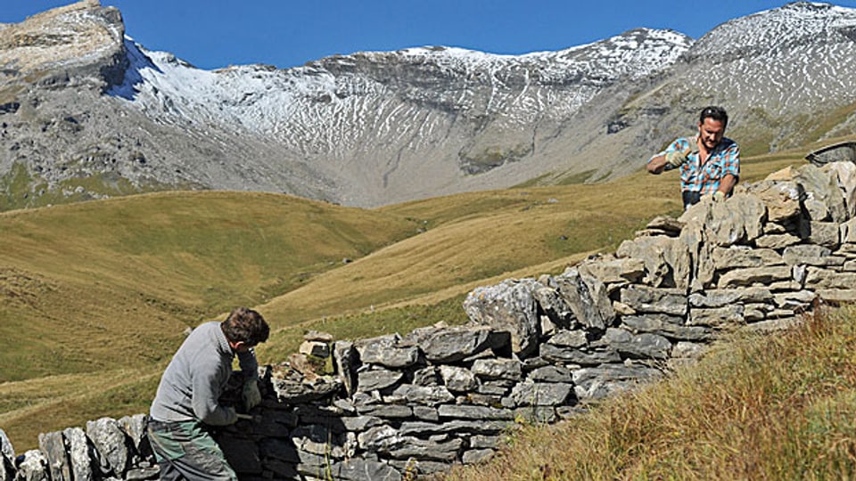 Freiwillige beim Bau einer Trockenmauer auf der Alp Curtginatsch oberhalb von Wergenstein GR.
