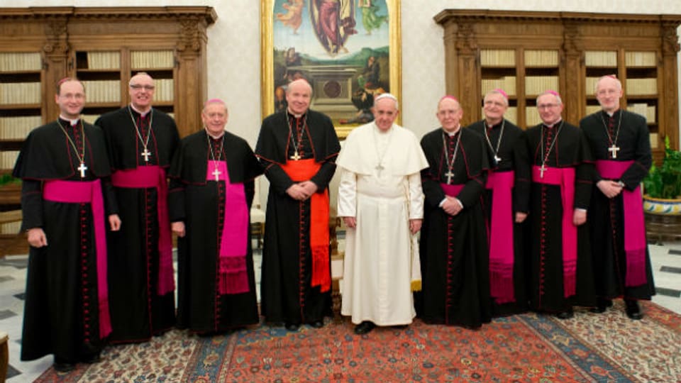 Der Papst mit Mitgliedern der Wiener Kirchenprovinz im Januar 2014.