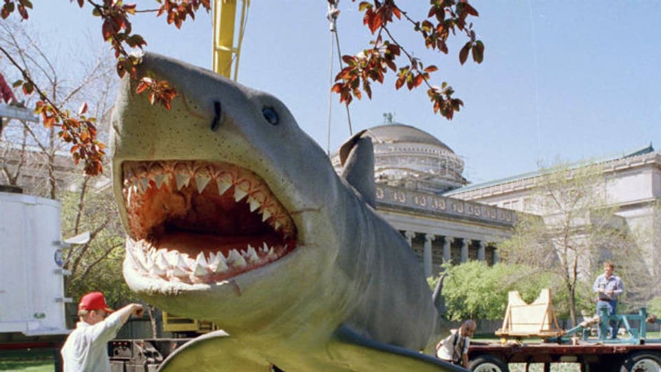 "Jaws" im Museum