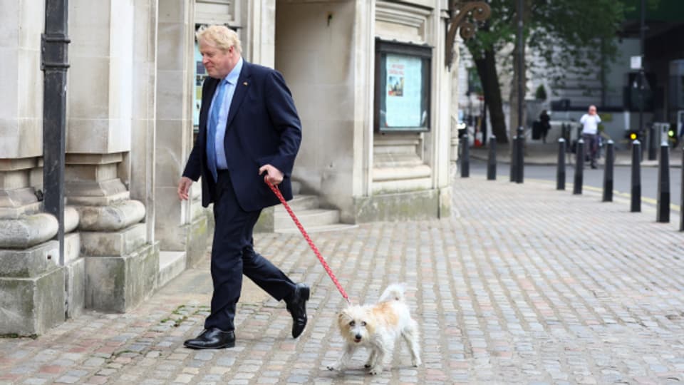 Kommunalwahlen als Stimmungstest: Boris Johnsons Rückhalt in der Bevölkerung schrumpft.