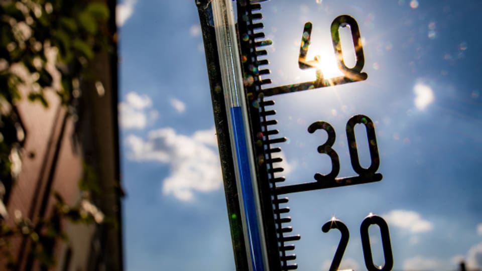 Der Sommer 2022 könnte als DER neue Hitzesommer in die Wettergeschichte eingehen. Das zeigt sich auch an der Anzahl Todesfälle.