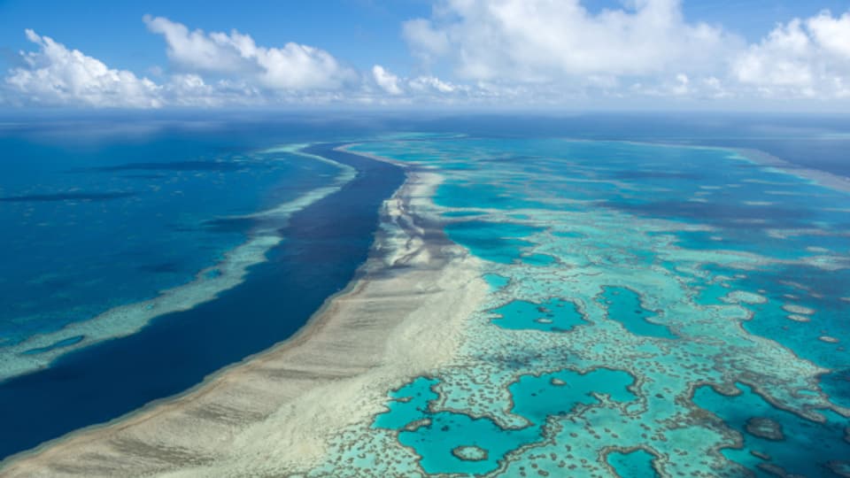 Die Unesco erwägt, das Great Barrier Reef in Australien auf die Liste der gefährdeten Welterbestätten zu setzen.