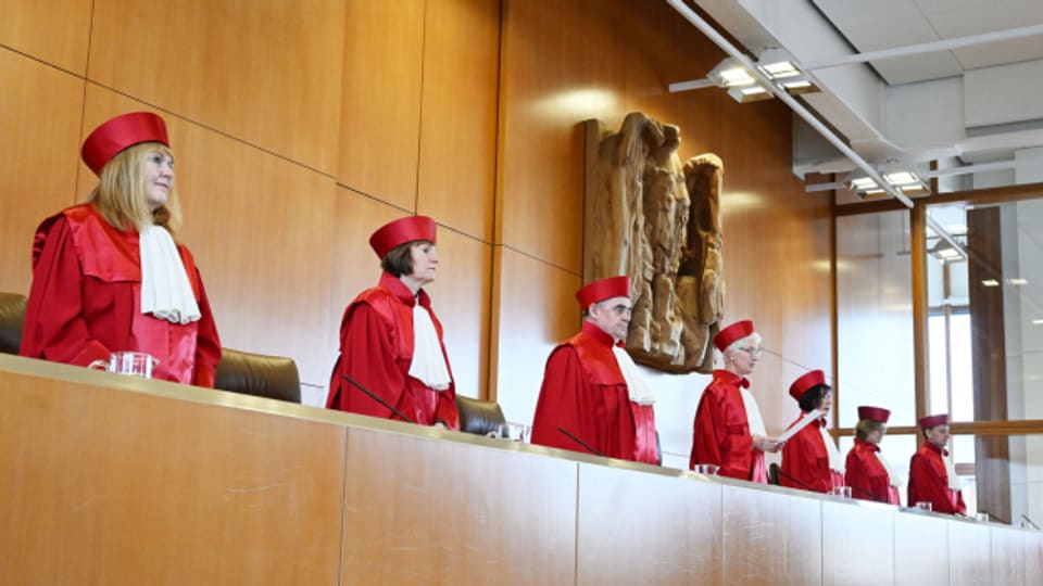 Die AfD erzielt einen Erfolg vor dem Bundesverfassungsgericht. Die ihr nahestehende Stiftung Desiderius Erasmus soll künftig Födergelder vom Staat erhalten.