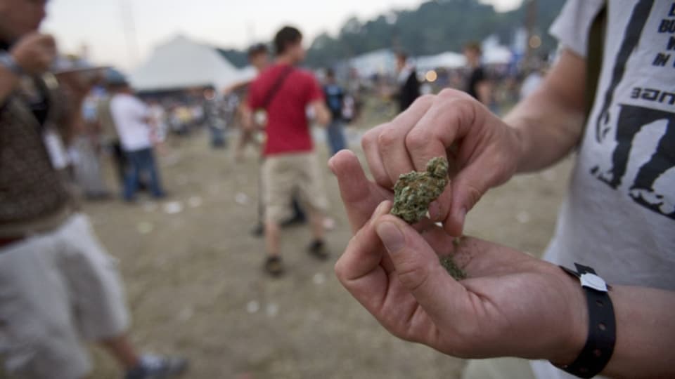 Cannabis gilt als problematisch, weil sich das jugendliche Gehirn noch entwickelt.