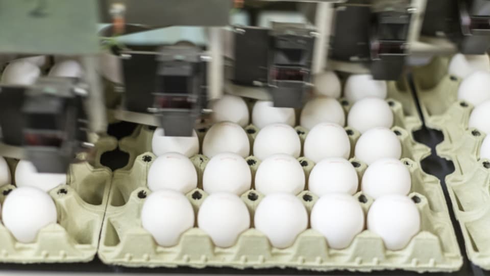 Die Nachfrage nach Eiern übersteigt aktuell das Angebot.