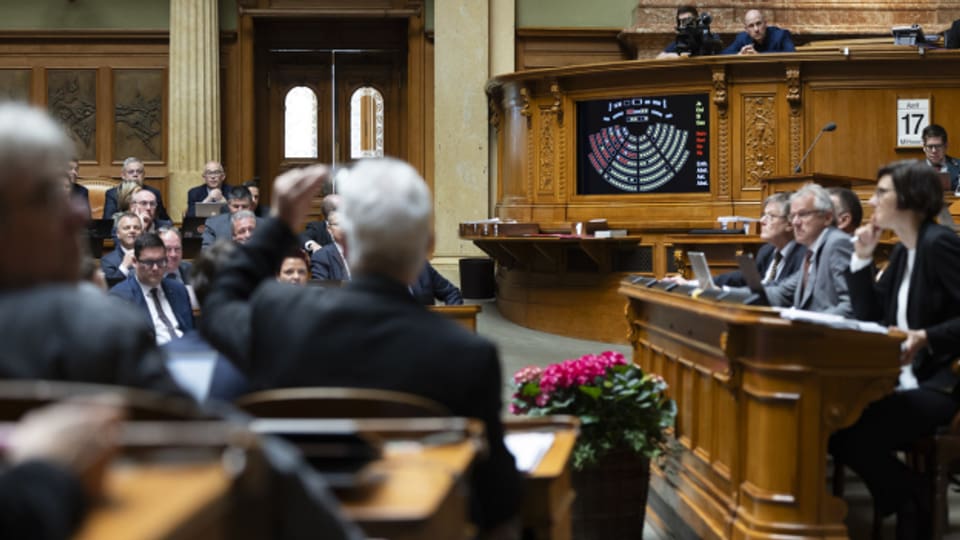 Der Nationalrat während der Abstimmung über die Motion zum Verbot der öffentlichen Verwendung von Nazisymbolen.