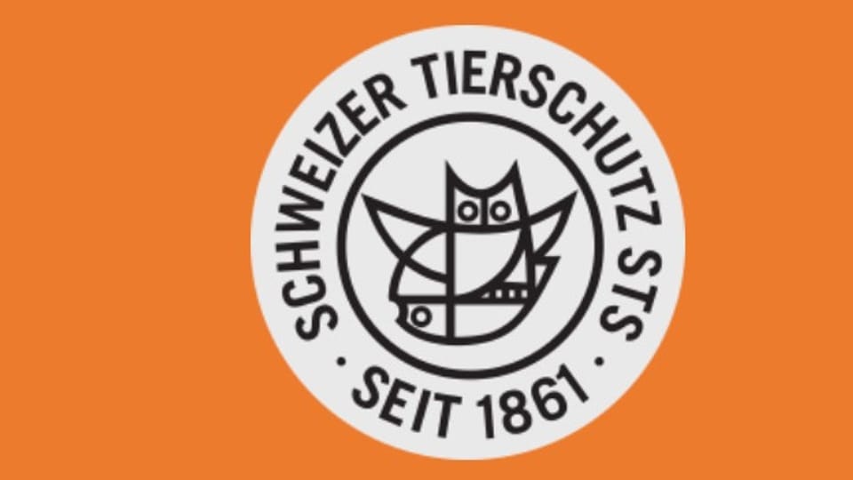 Beim Schweizer Tierschutzverein herrscht seit Längerem dicke Luft.