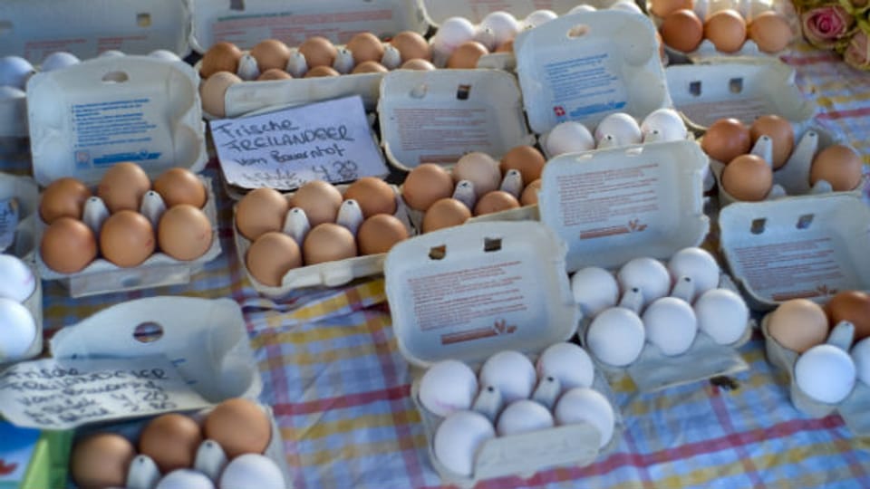 Freiland-Eier vom Bauernhof sind gefragt