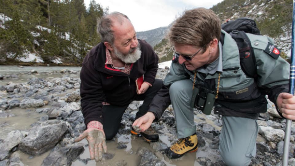 Der Berner Geologe Christian Schluechter und der Nationalpark-Direktor Heinrich Haller (rechts) prüfen die Schlammablagerung im Spoel bei Zernez am 4. April 2013.