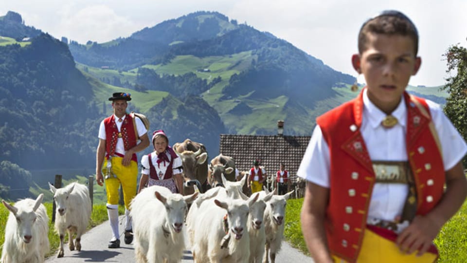 200 Millionen für den Schweizer Tourismus. Bild: Alpabzug vom Schwizerälpli oberhalb Schwende im Kanton Appenzell Innerrhoden nach Appenzell.