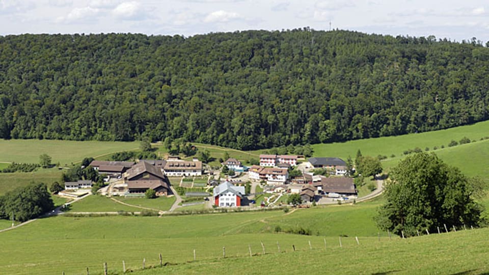 Dietisberg, bei Läufelfingen im Basler Jura.