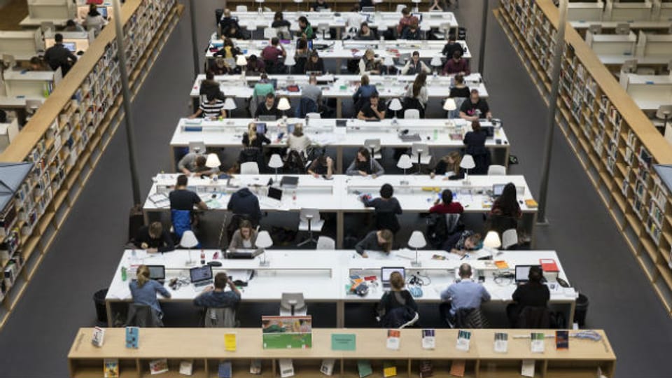 Studentinnen und Studenten arbeiten in der Bibliothek des neuen Berner Hochschulzentrums, wo auch die pädagogische Hochschule untergebracht ist.
