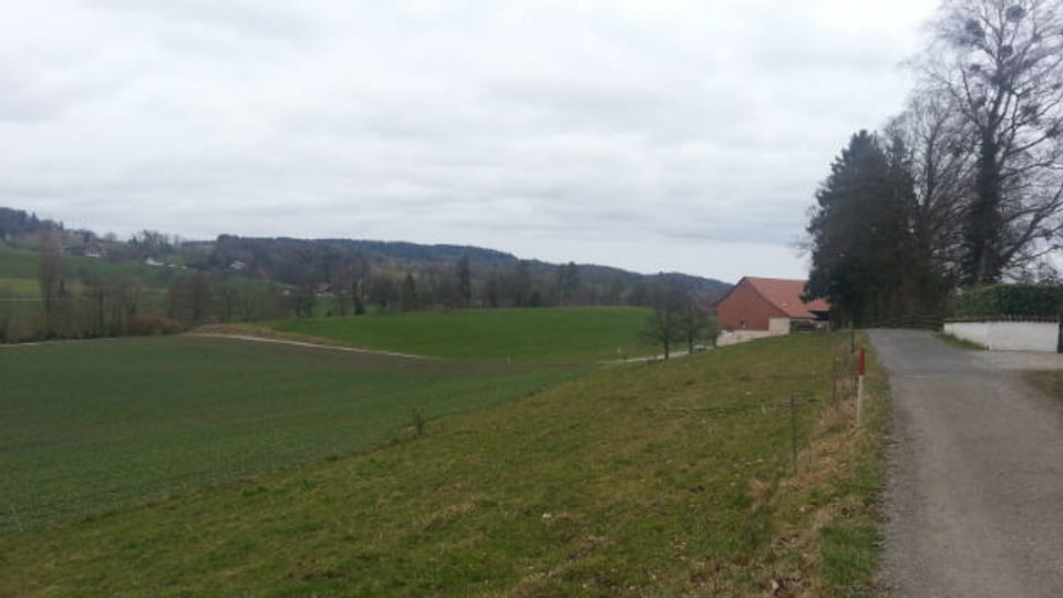 Umstrittene Landschaft: der Biswind in Herrliberg.