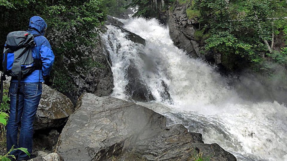 Im sogenannten «Prall- und Sprühbereich» eines Wasserfallsa ist es glitschig - und eher ungemütlich – aber es wimmelt von Leben.