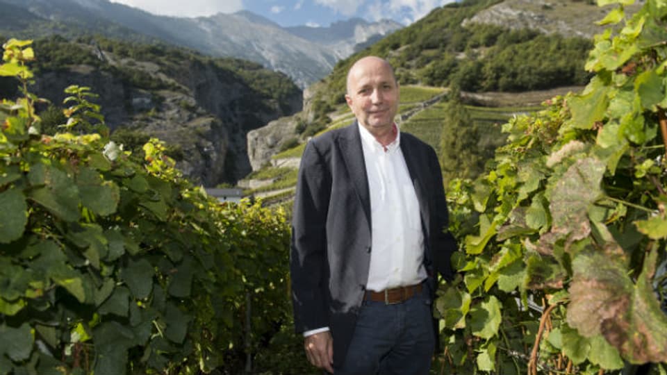 Wein illegal verschnitten: Jean-René Germanier in einem seiner Rebberge.