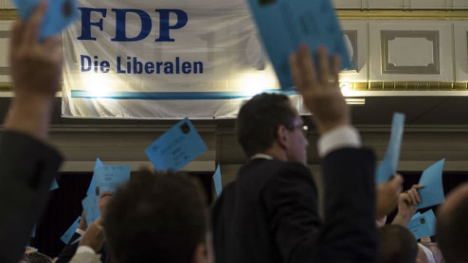 FDP-Delegierte an der DV in Bern.